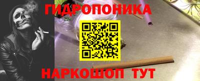 2c-b Гусев