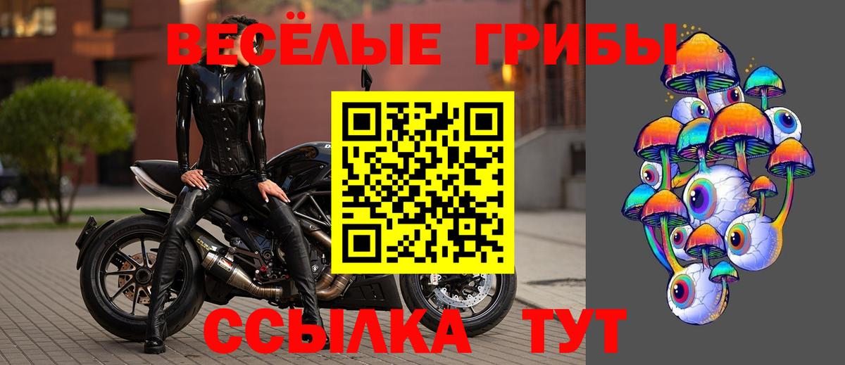 Галлюциногенные грибы ЛСД  Галлюциногенные грибы GOLDEN TEACHER  Вход с VPN  купить наркотики цена  Ишим 